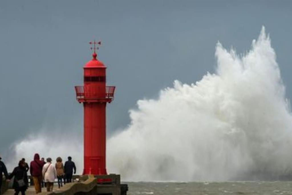 Petit Nid Sur La Cote Daire Boulogne-sur-Mer Dış mekan fotoğraf